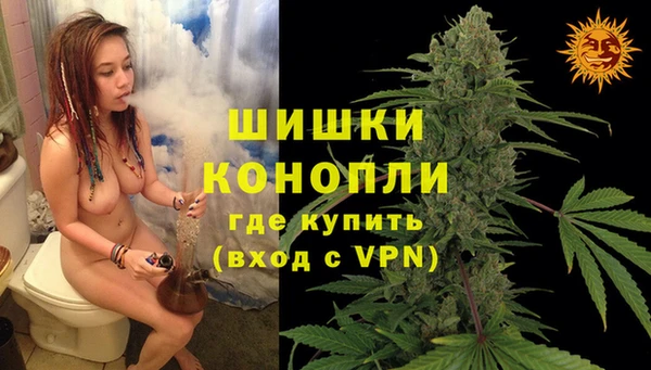 крисы Бронницы