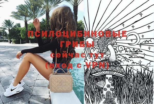 сатива Верхний Тагил