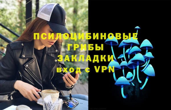 сатива Верхний Тагил
