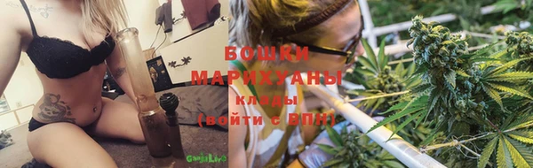 сатива Верхний Тагил
