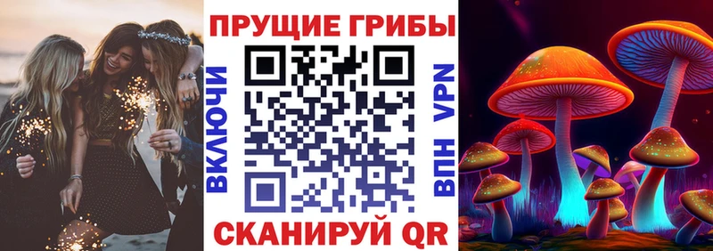 Псилоцибиновые грибы GOLDEN TEACHER  Ростов 